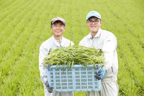 佐々木食品工業 株式会社