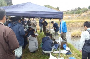 株式会社キョウワ