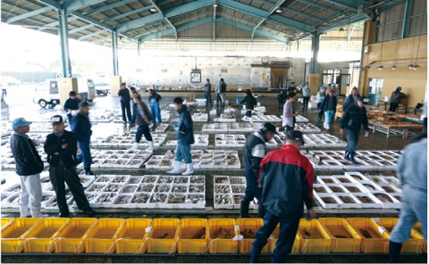 株式会社 高田魚市場