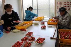 株式会社　赤野農園