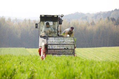 株式会社自然農研